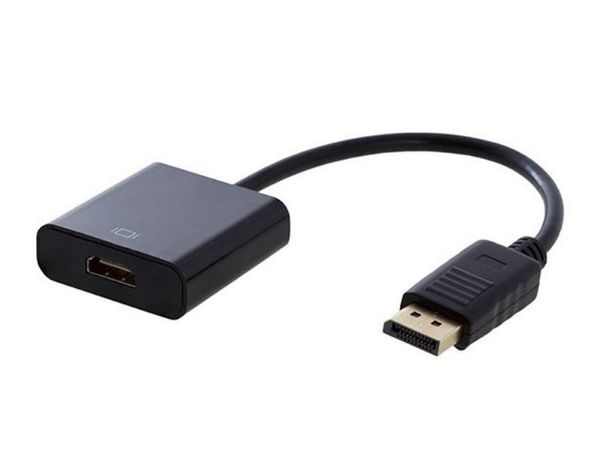 Døds kæbe kalligraf Erobrer Display Port to HDMI Connector Adapter, Connect New Laptops to HDMI Monitor  or TV | Laptop Plus
